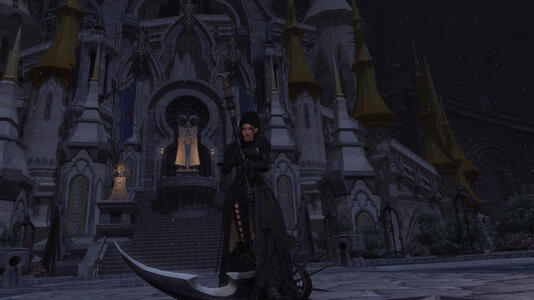 The Watcher
